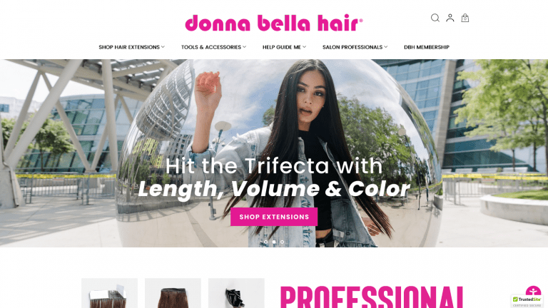 Webplanex and Donna Bella Hair